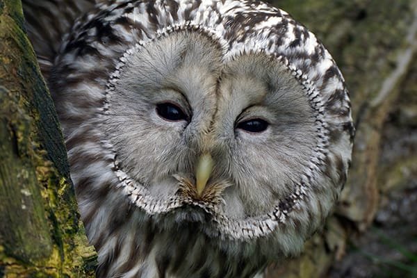 Distilled Wisdom: What Decades of Leadership Teach